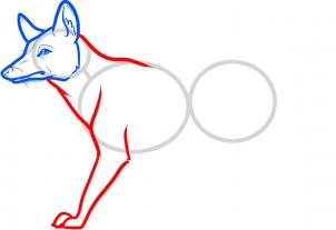 Animals - How to Draw a Tasmanian Tiger, Tasmanian Wolf