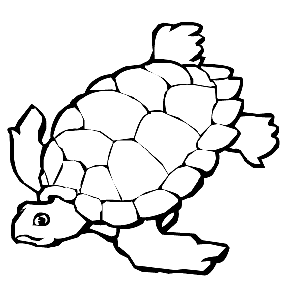 Desert Tortoise coloring page - Animals Town - Free Desert ...