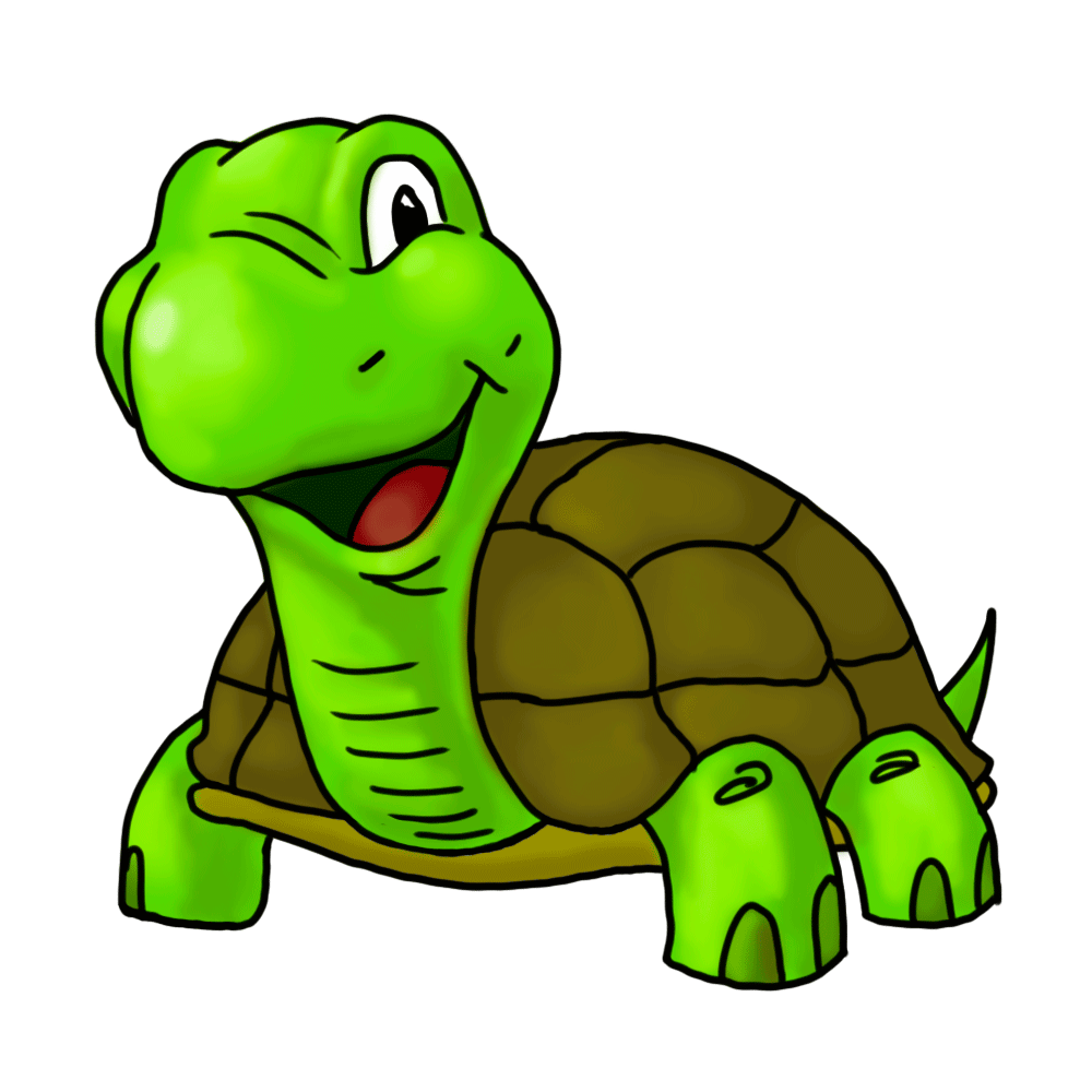 Tortoise clipart png