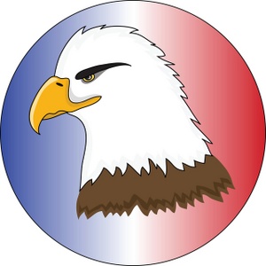 Realistic bald eagle clipart