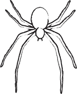 Spider clipart outline