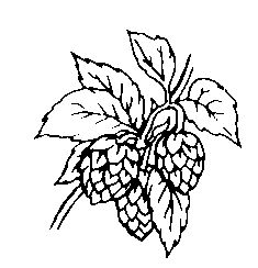 1000+ images about High Hops for Yeast | Craft beer ...