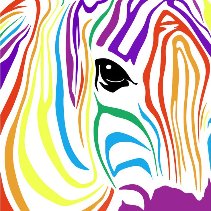 1000+ images about rainbow zebra bedroom