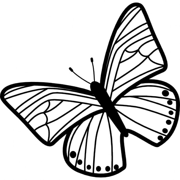 Butterfly Pattern - ClipArt Best
