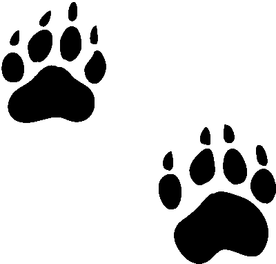 Tiger paw prints clipart