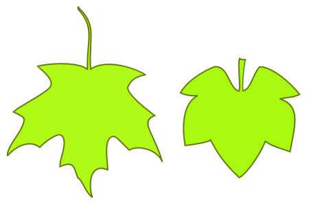 Grape Leaves Pictures