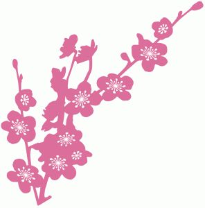 Cherry Blossom Branches | Cherry ...