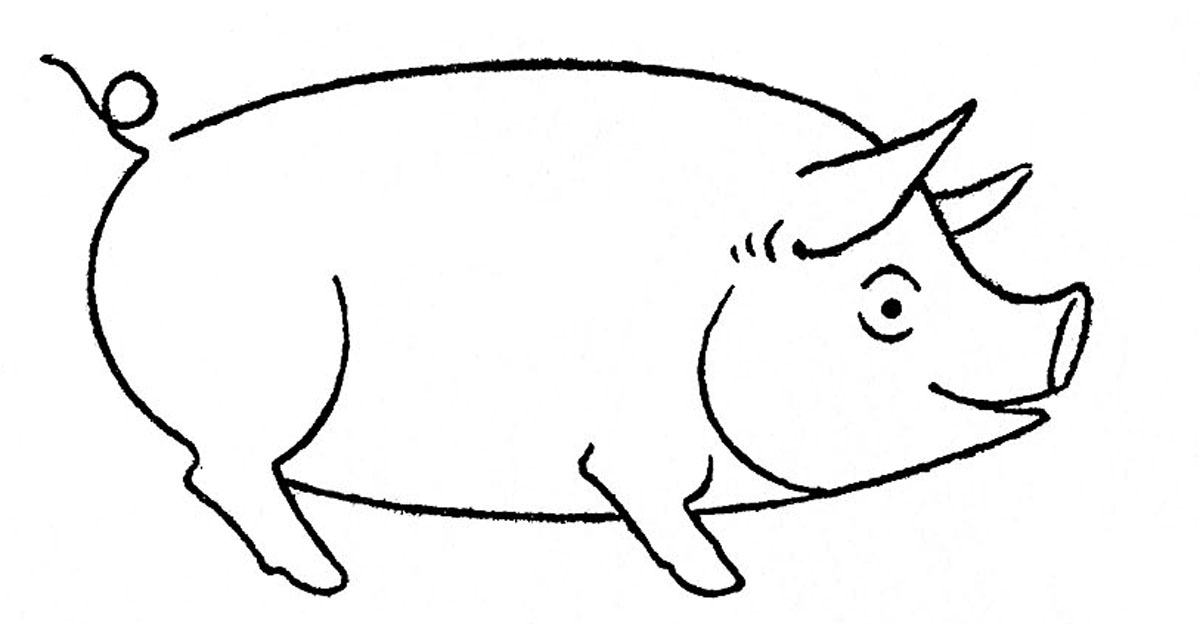 1000+ images about how to draw animals
