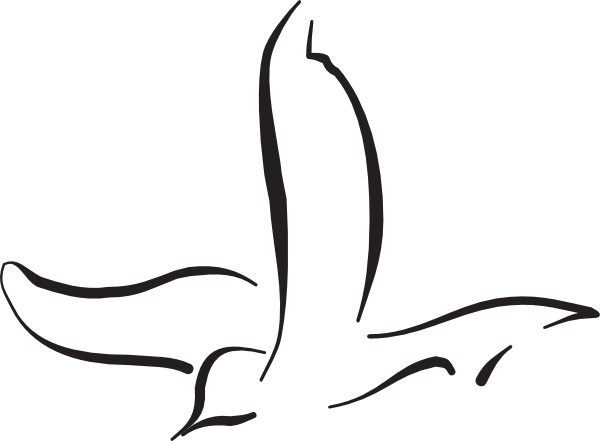 Flying bird line art clipart
