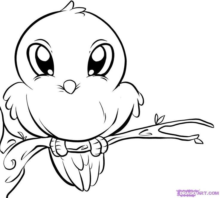 Cute Coloring Pages Of Animals - AZ Coloring Pages