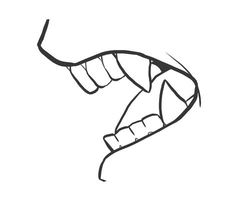 Shark Drawing | Drawings Of Sharks ...