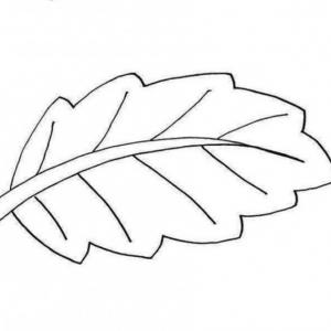 Free Fall Leaf Clipart Outline Picture | ClipArTidy