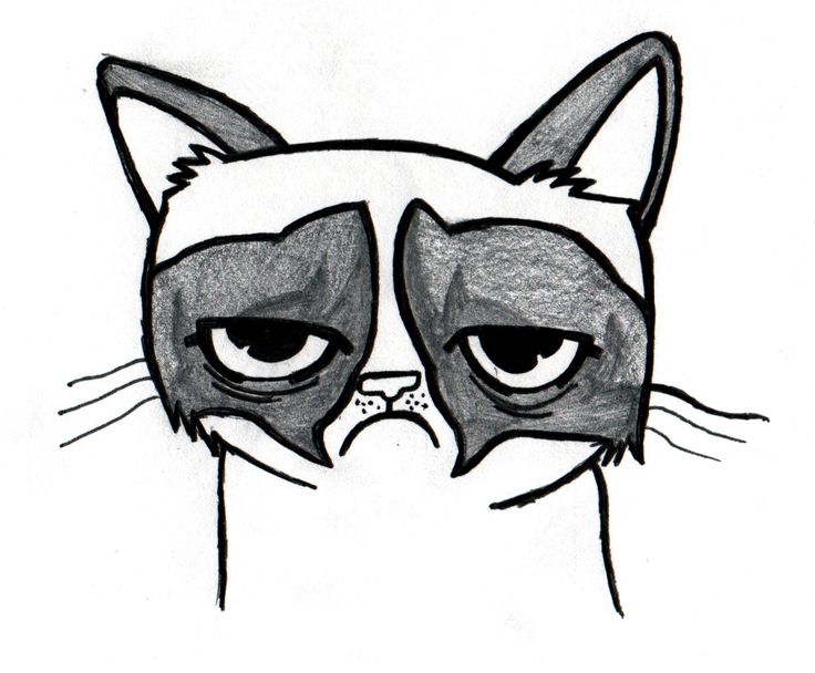 Easy Cat Drawing | Cat Drawing ...