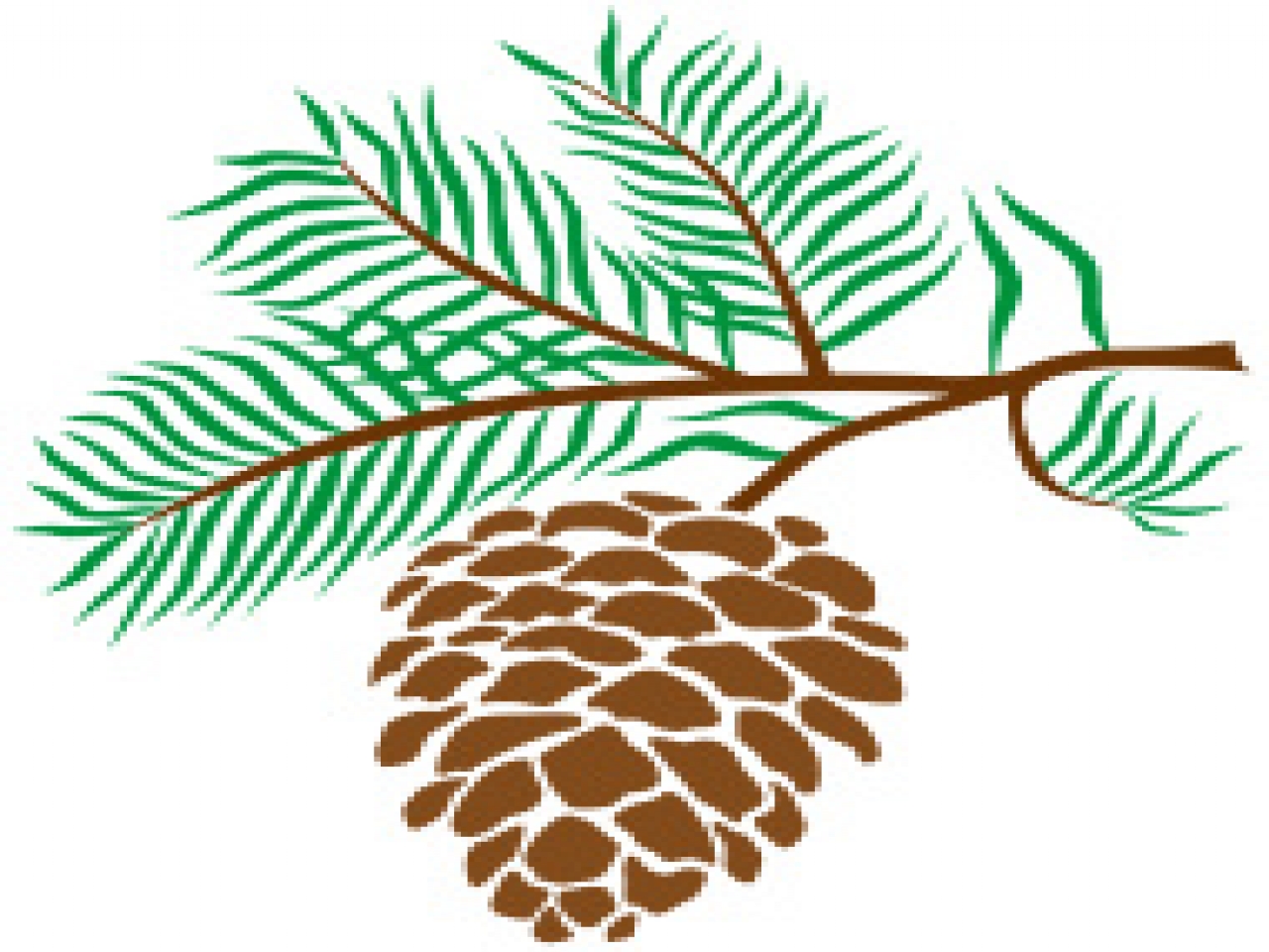 Pine cone christmas, pine tree clip art pine cone clip art ...