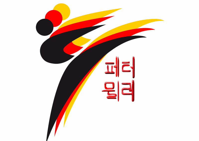 Tae Kwon Do Master Cartoon | Free Download Clip Art | Free Clip ...