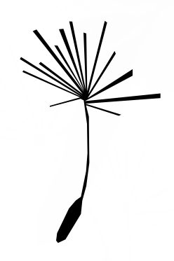 Seed Outline - ClipArt Best