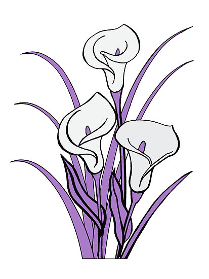 Cala lily flowers clipart