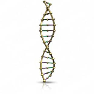 Download High Quality Royalty Free Dna 01 PowerPoint Graphics and ...