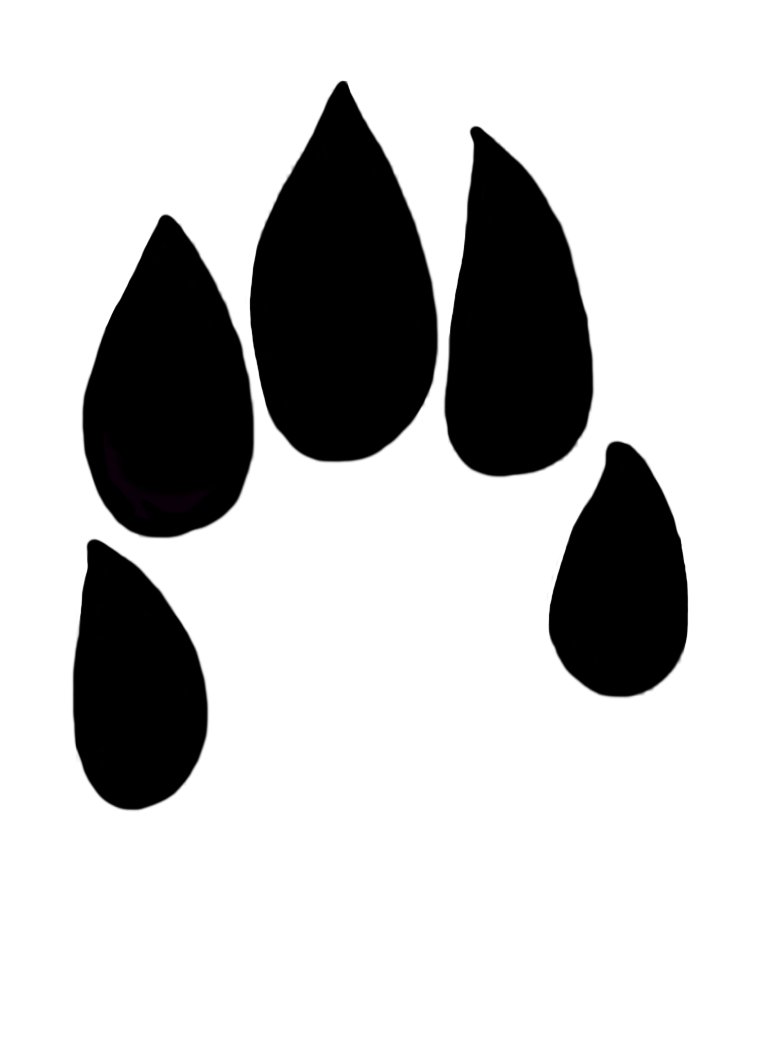 Paw Prints Clipart