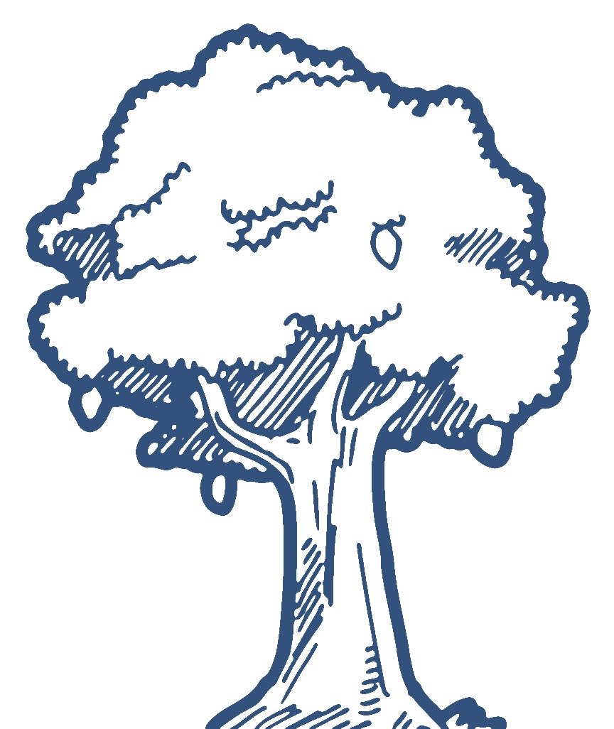 Mango Tree Clipart