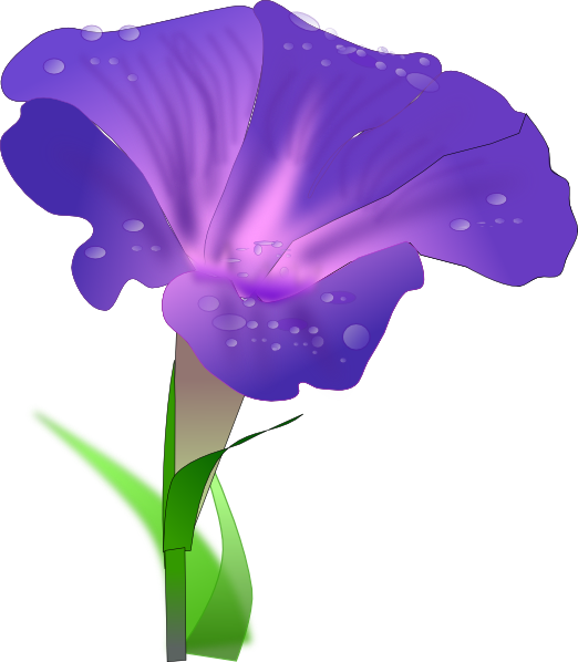 Iris Clipart | Free Download Clip Art | Free Clip Art | on Clipart ...