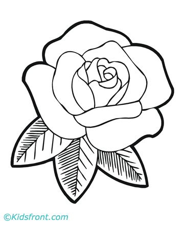 1000+ images about FLORES | Patrones, Rose basket and ...