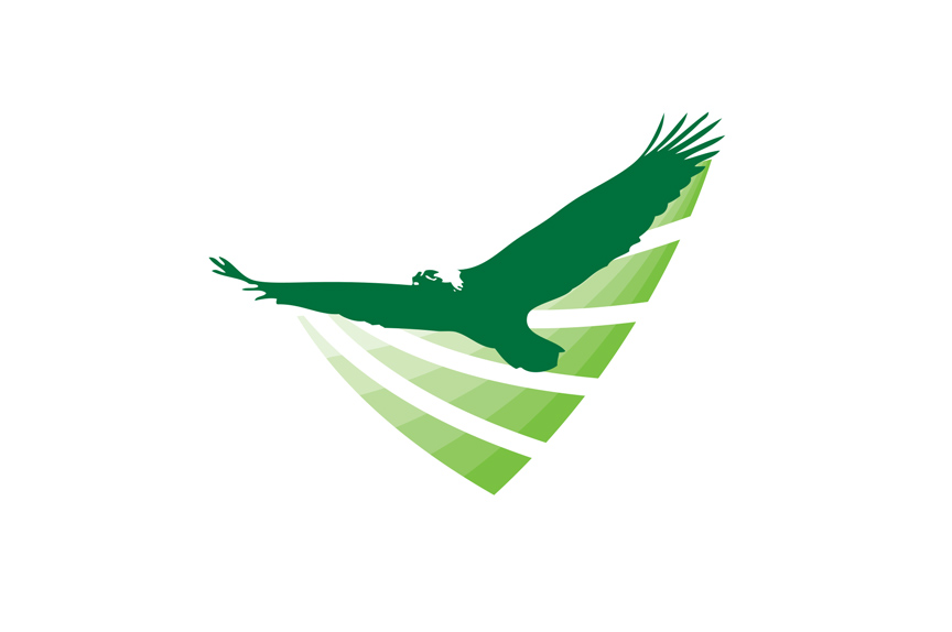 Green Eagle Logo Design