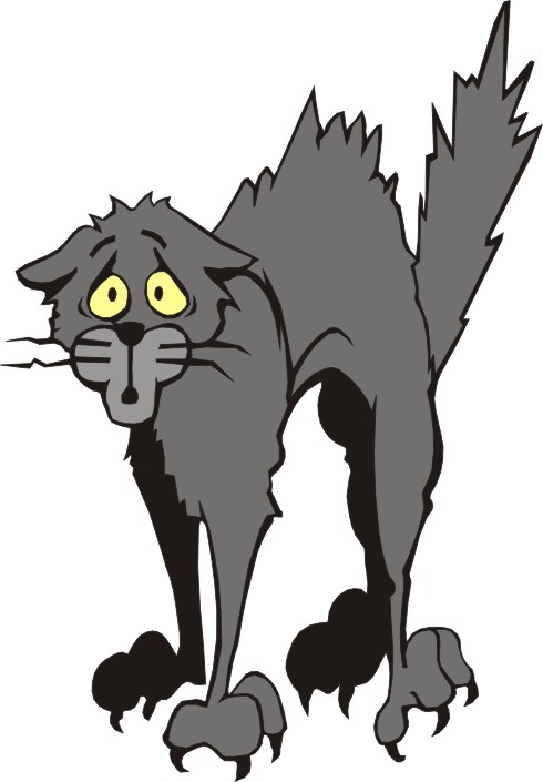 Cartoon Cat