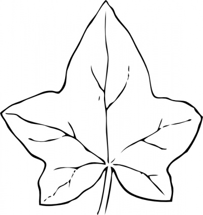 Black Fall Outline Leaf White Free Automatic Leaves Ivy vector ...