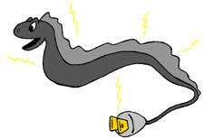 Cartoon Eel - ClipArt Best