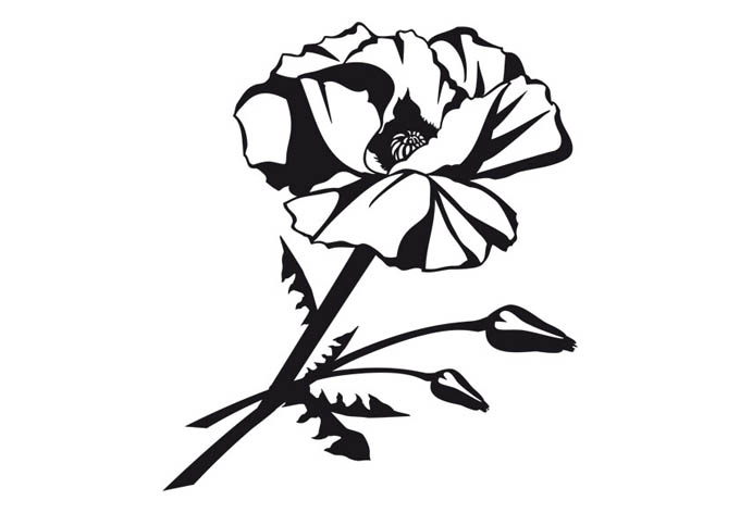 Poppy Flower Wall Sticker - beautiful home decoration - Wall ...