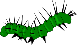 caterpillar-md.png