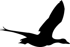 1206555848388219874chlopaya_ ...