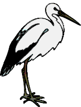 Stork Graphics and Animated Gifs. Stork
