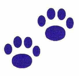 Purple 2 Little Purple Paw Prints