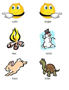 Opposites preschool | Preschool, Preschool Worksheets an…
