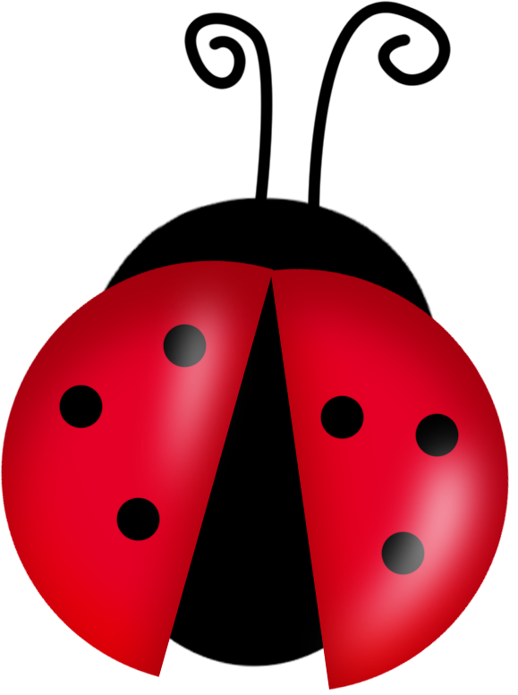 Ladybird Cartoon | Free Download Clip Art | Free Clip Art | on ...