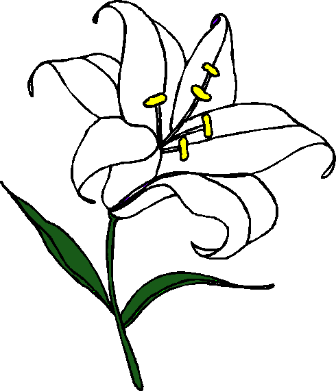 Images Of Easter Lilies | Free Download Clip Art | Free Clip Art ...