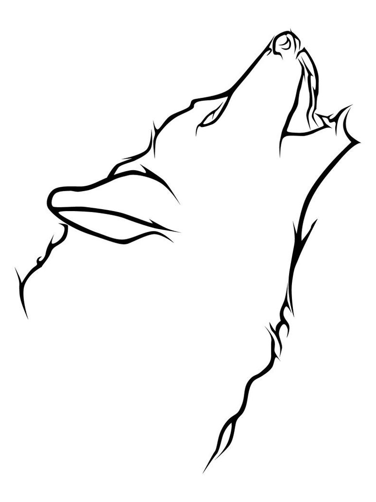 Simple Wolf Drawings
