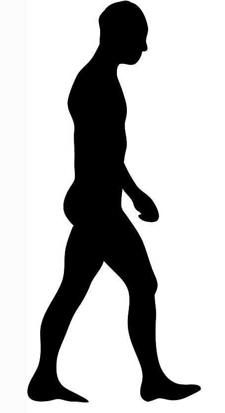 Body Silhouette
