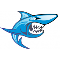 Lemon Shark Drawing - ClipArt Best