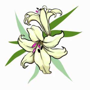 Lily Flower Tattoo Ideas - ClipArt Best