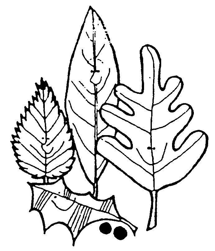 Composting and Waste Reduction Clip Art page 3