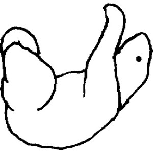 Sloth Outline - ClipArt Best