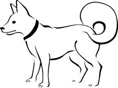 Drawing animals, Symbols and Drawings