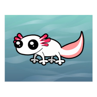 Cartoon Salamander Postcards | Zazzle