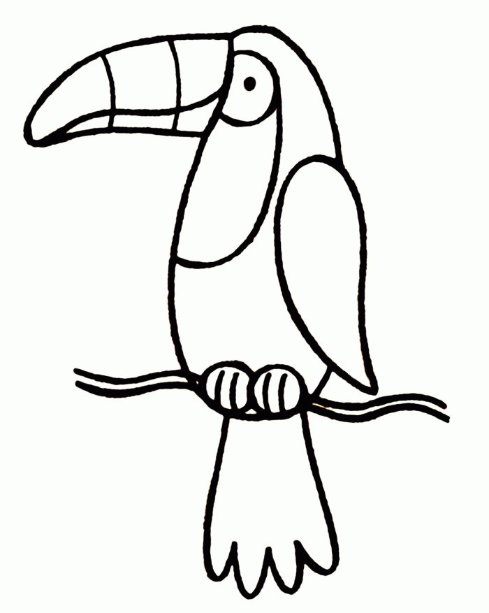 Toucan Pictures For Kids - AZ Coloring Pages