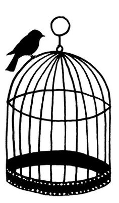 Birds, Art and Birdcages