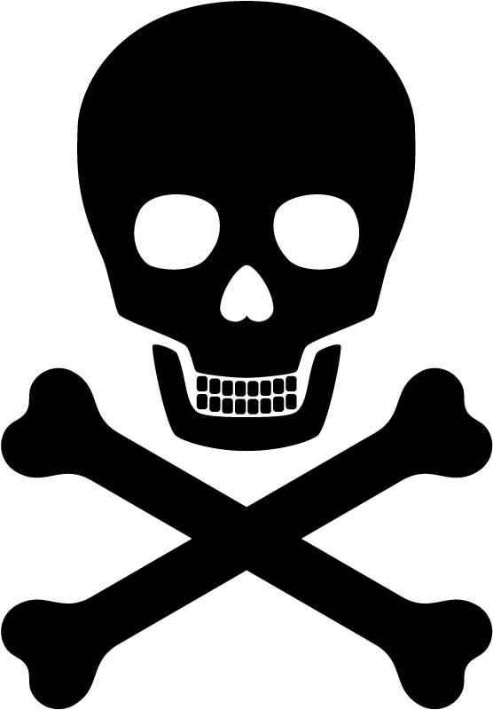 Bold Skull and Cross Bones Pirates Kids Nursery Wall Stickers Art ...