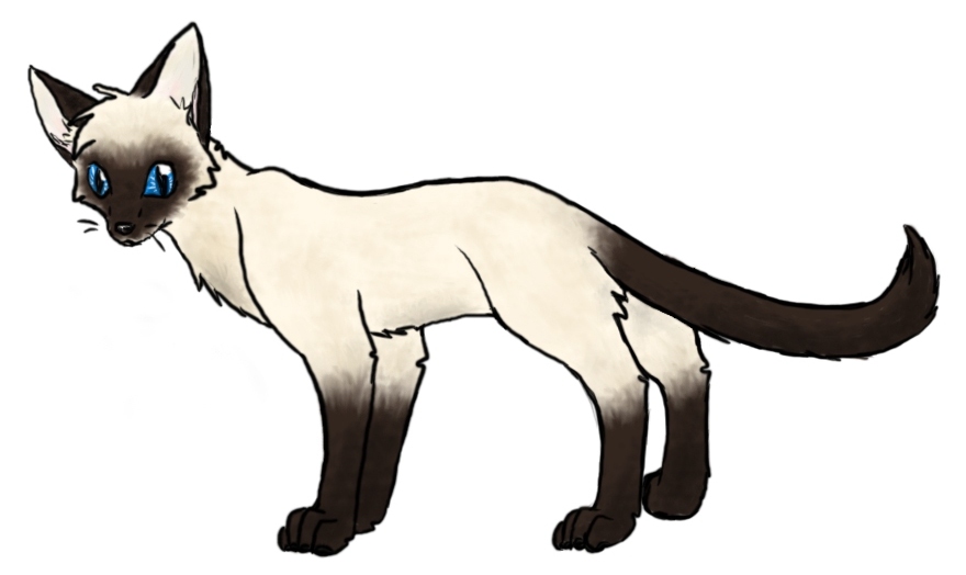 Siamese, Art and Cats